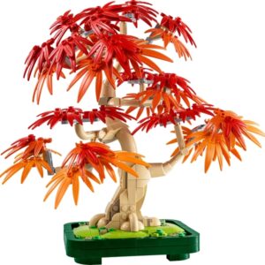 Japanese Maple Tree [10348-1]